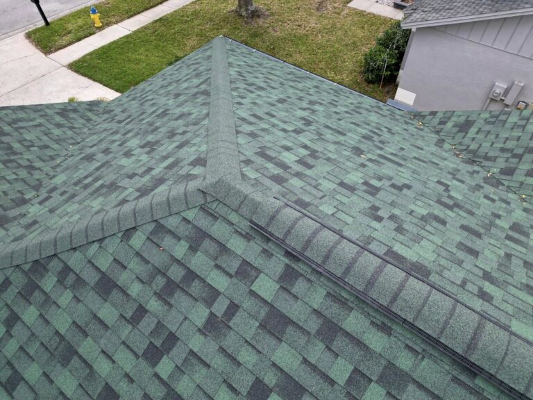 Close-up of a green shingle roof