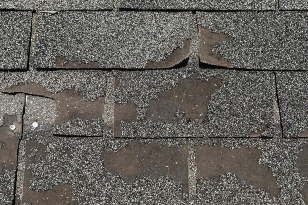 Close-up of damaged asphalt shingles on a roof, showing curling edges and granular loss on roof surfaces, exposing the underlying material. The wear is a common roof warning sign, indicating aging and possible need for repair or replacement.