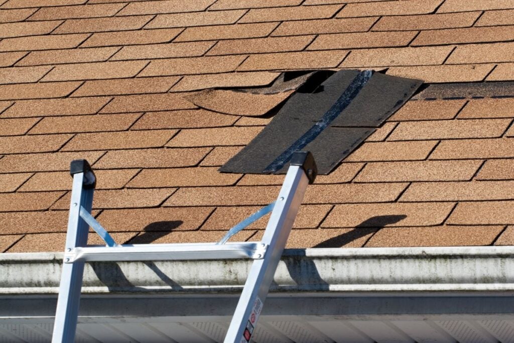 A metal ladder leans against a roof with brown shingles, some lifted and damaged, revealing black underlayment beneath—a clear sign of roof damage that may require repair to prevent leaks. The roof edge has a white gutter attached.