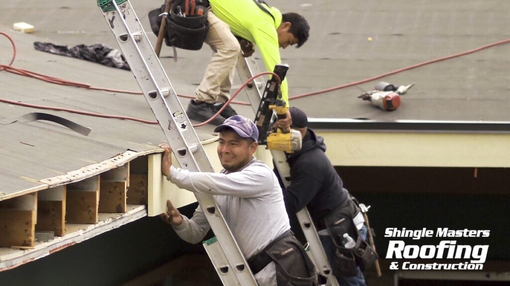 Two workers on ladders install shingles on a roof, using tools and safety gear. A logo in the corner reads "Shingle Masters Roofing & Construction." Homeowners seeking reliable roofing solutions can trust Shingle Masters for expert shingle installation as well as advanced options like standing seam metal roofing.