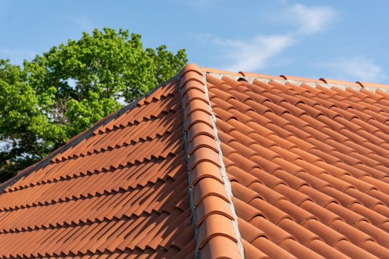 A close-up of a clay tile roof under a blue sky, with a green leafy tree in the background.