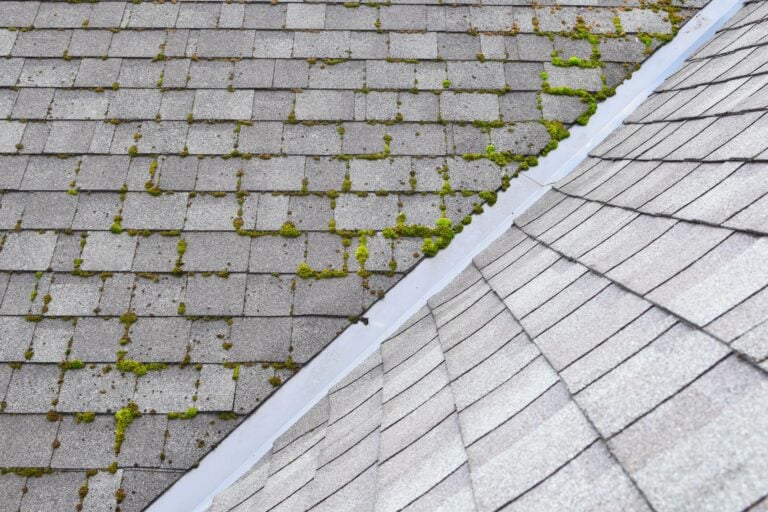 Gray roof shingles with patches of green moss growing on one section; the clean shingles contrast with the mossy area along a roof seam, highlighting the need to remove algae stains for a uniform appearance.