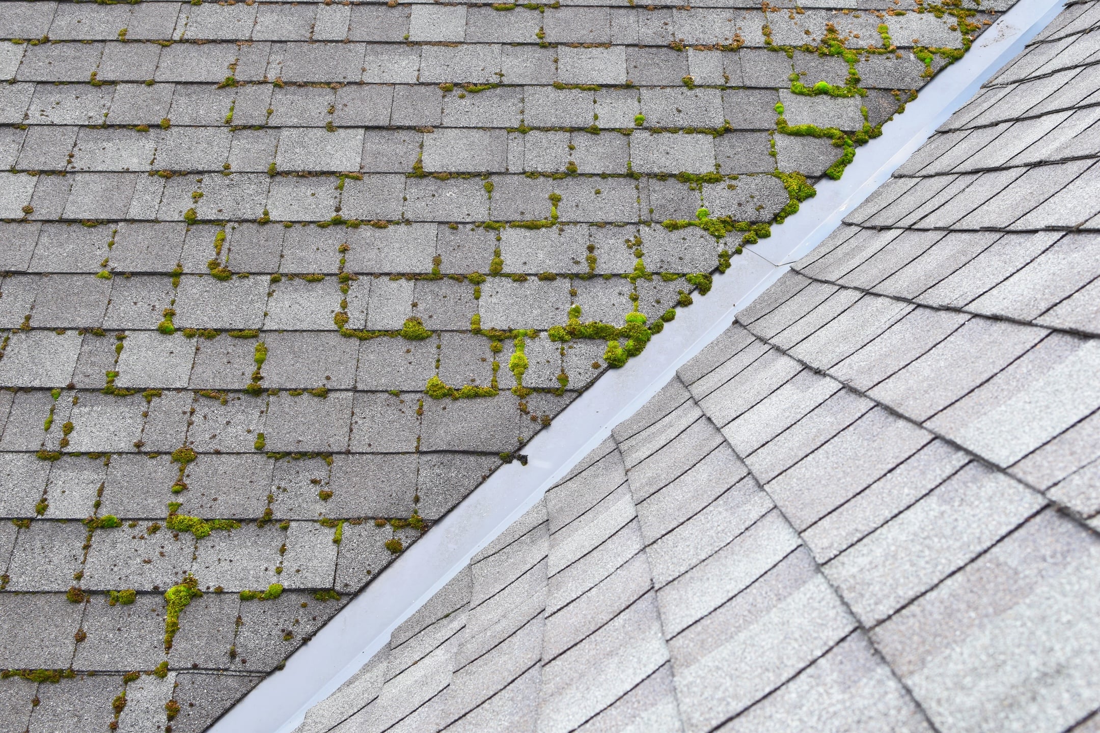 Gray roof shingles with patches of green moss growing on one section; the clean shingles contrast with the mossy area along a roof seam, highlighting the need to remove algae stains for a uniform appearance.