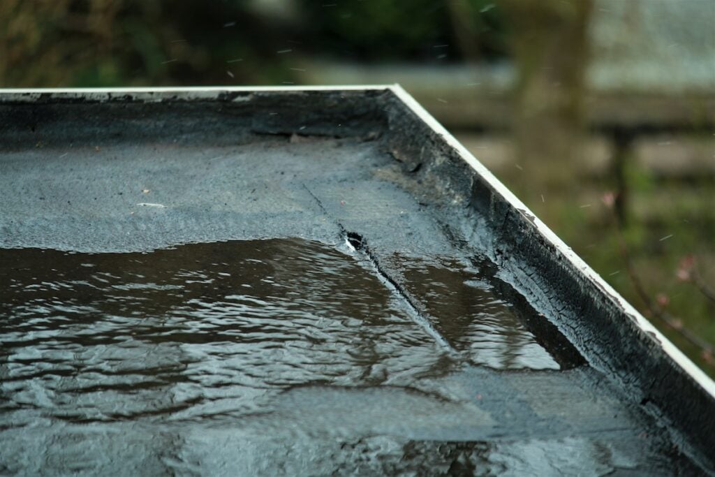 Close-up of water pooling on the surface of a flat, black, asphalt roof—an example of a common flat roof leak—with a visible crack and some water leaking through. The background is blurred greenery and outdoor elements.
