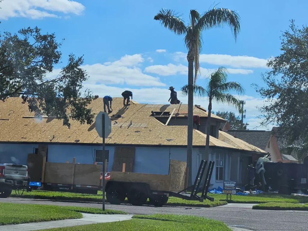 Several workers are installing a new roof on a house. The roof is covered in plywood, and a trailer is parked in front of the house. Palm trees and grass surround the scene on a sunny day. This project offers an opportunity for roofing comparison, whether choosing traditional 3-Tab Shingles or upgrading to more durable Architectural Shingles.