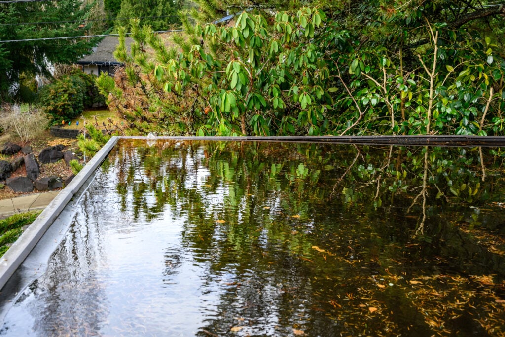 flat roof with water