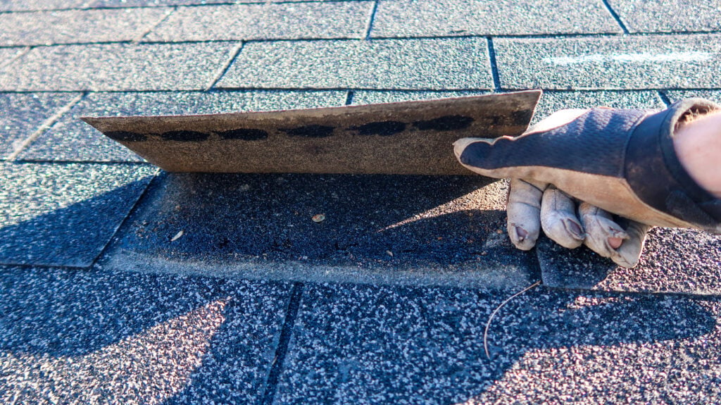 shingle roof warranty A gloved hand lifts a roof shingle, revealing the layer beneath on an asphalt shingle roof during inspection or repair under bright sunlight, ensuring the integrity of your shingle roof warranty is maintained.