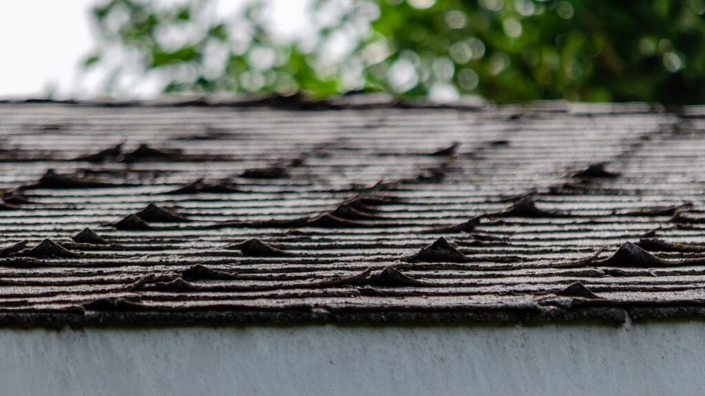 Close-up of an old, damaged shingled roof with several warped and lifted shingles—clear roof signs that it may be time to replace your roof. Green blurry trees are visible in the background.