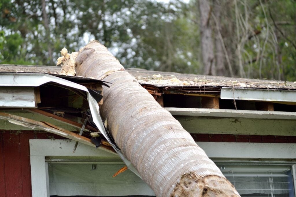 A large tree trunk has fallen onto the roof of a house, causing significant damage to the roof and eaves above a window. Homeowners concerned about repair costs should review their Roof Warranty to understand what kind of roof coverage may apply in such situations.